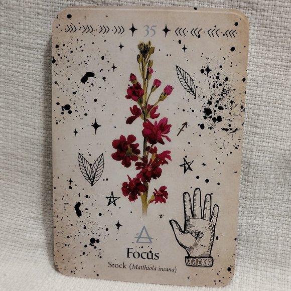 Green Witch Oracle Cards - Picture 11 of 11